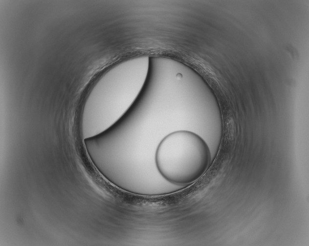 X0000110880638200906180946