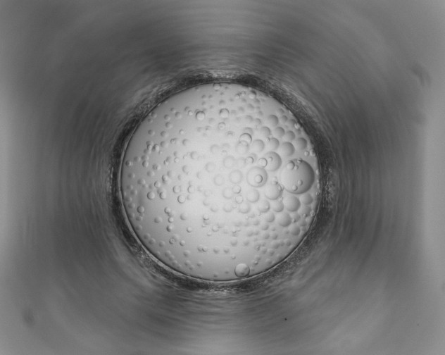X0000110880639200906180946