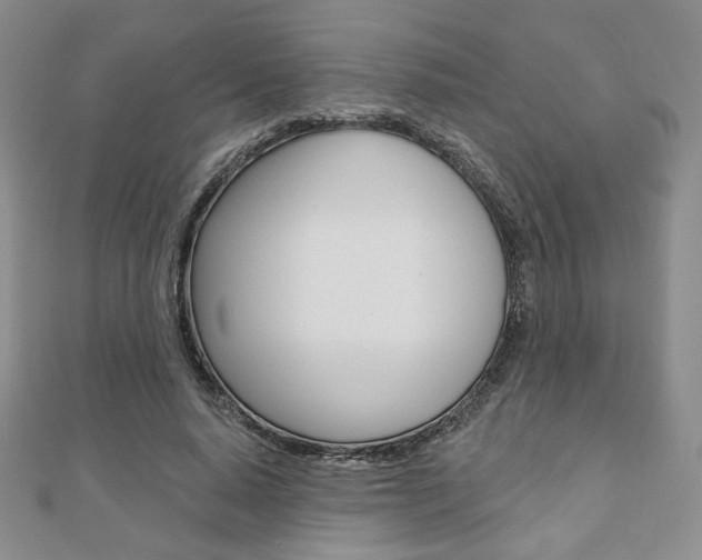 X0000110880640200906180946