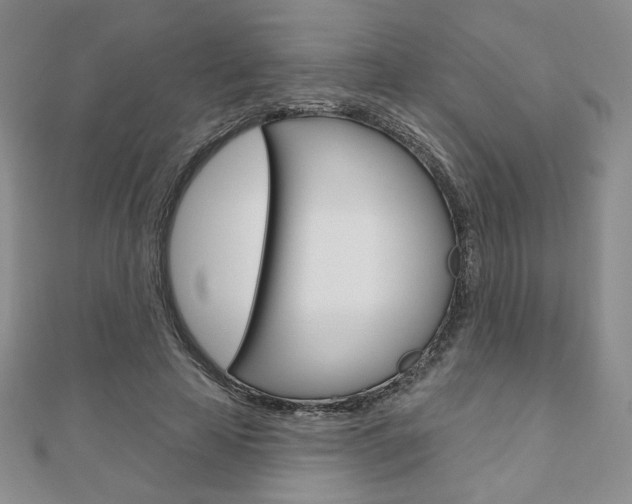 X0000110880641200906180946