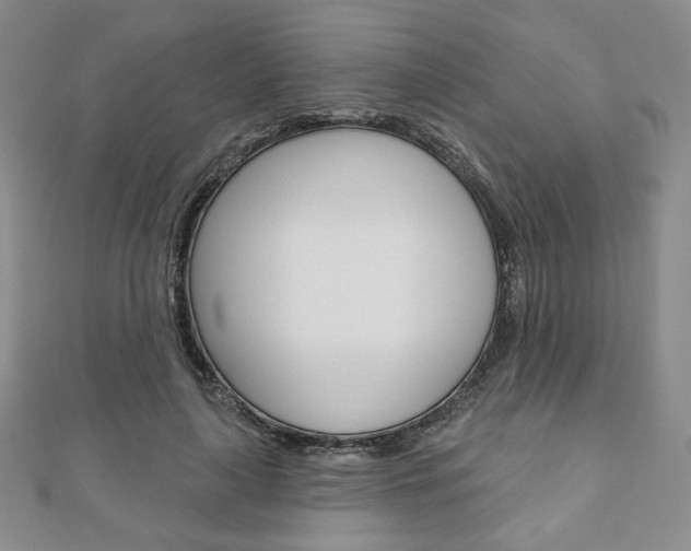 X0000110880643200906180946