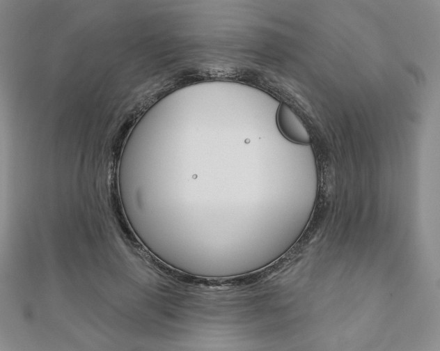 X0000110880645200906180946