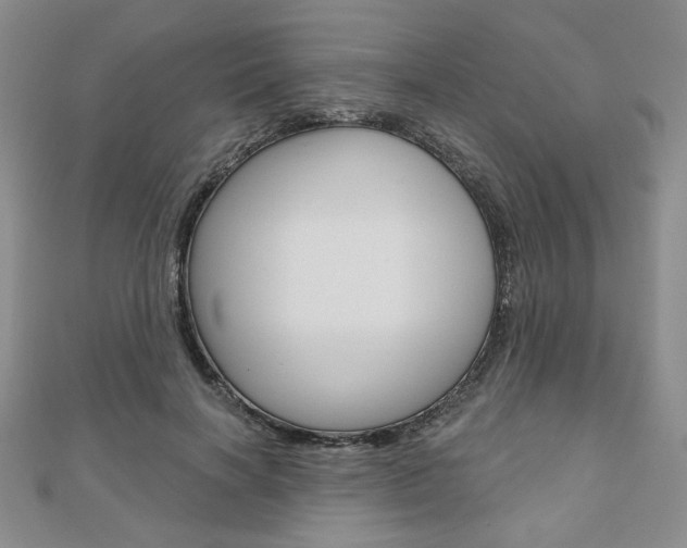X0000110880646200906180946