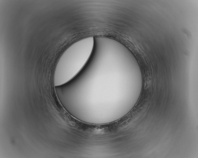 X0000110880647200906180946