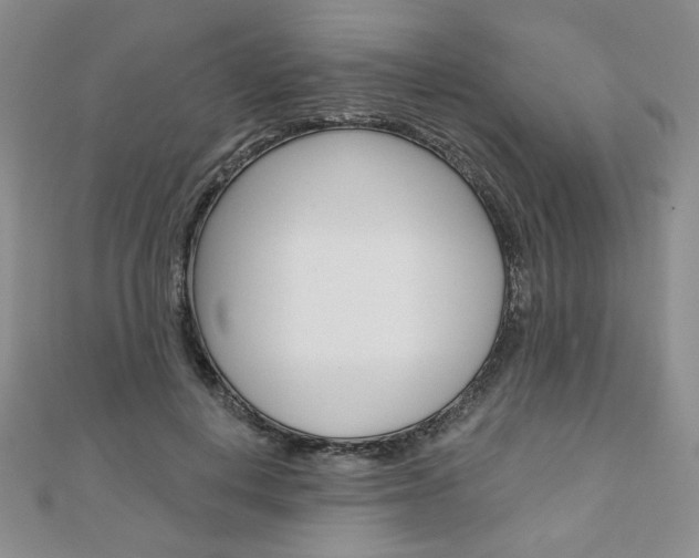 X0000110880648200906180946