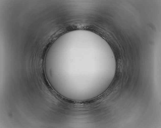 X0000110880650200906180946