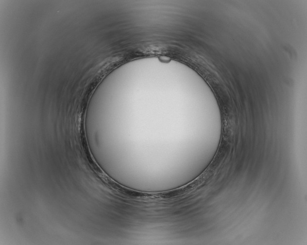 X0000110880652200906180946