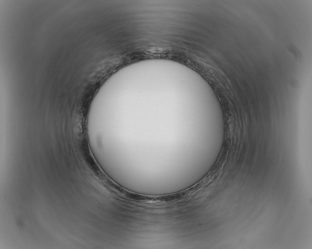 X0000110880654200906180946