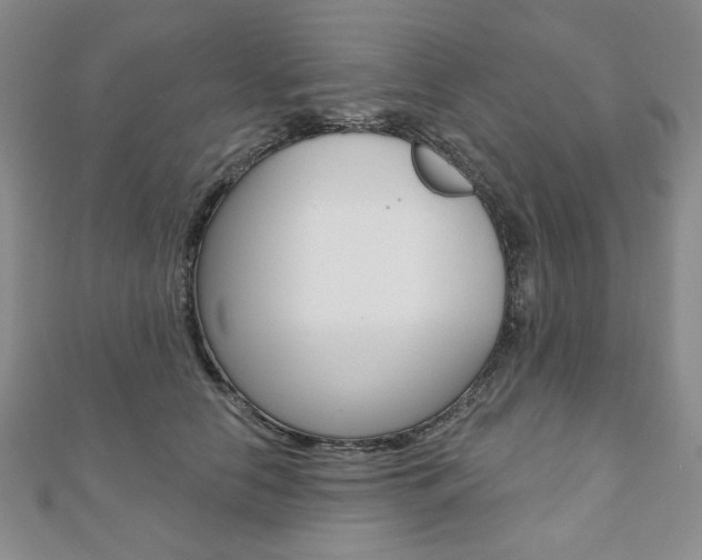 X0000110880658200906180946