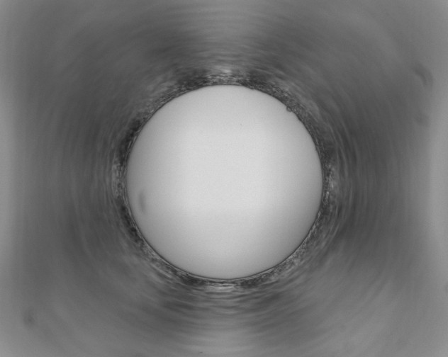 X0000110880659200906180946