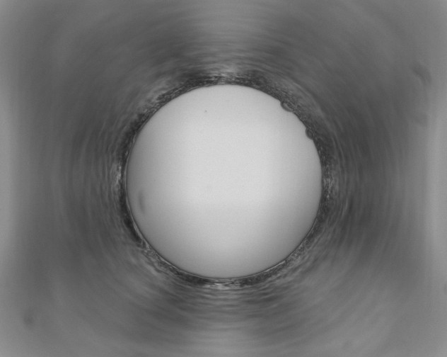X0000110880660200906180946