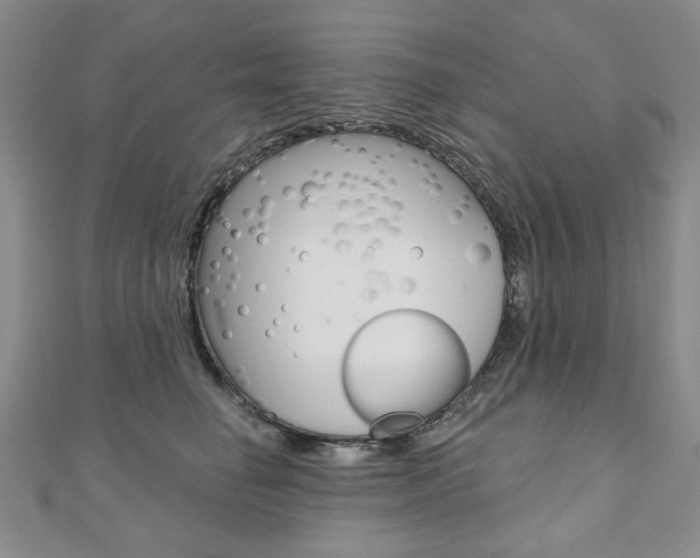 X0000110880662200906180946
