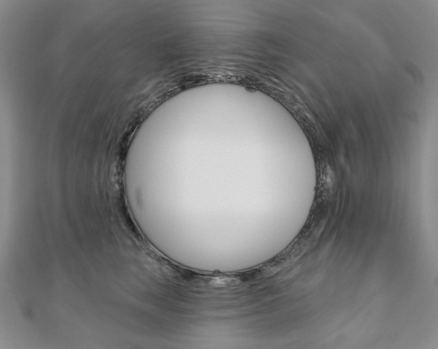 X0000110880663200906180946