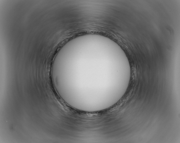 X0000110880664200906180946