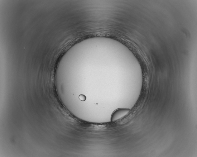 X0000110880665200906180946