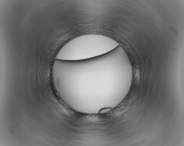 X0000110880668200906180946