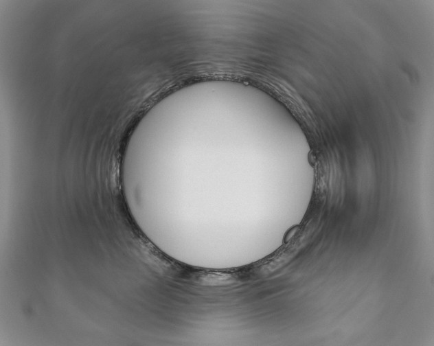 X0000110880669200906180946
