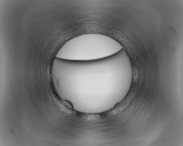 X0000110880670200906180946