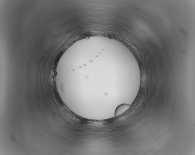 X0000110880671200906180946