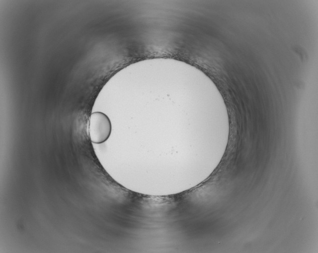 X0000110880672200906180946