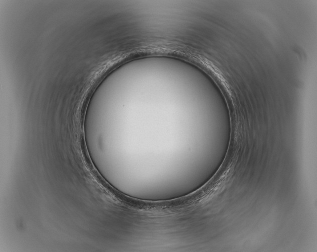 X0000110880673200906180946