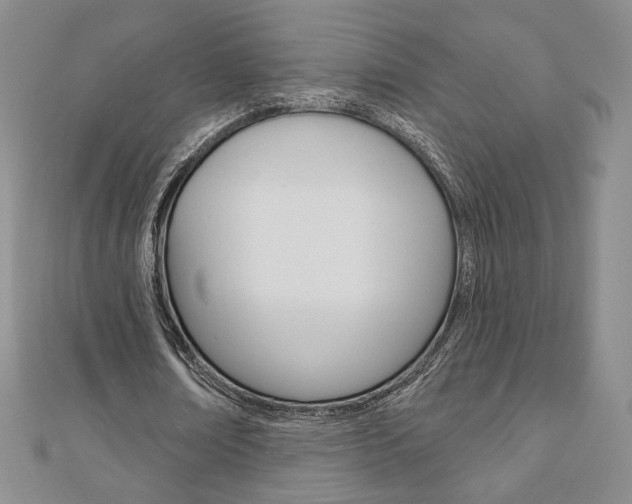 X0000110880674200906180946
