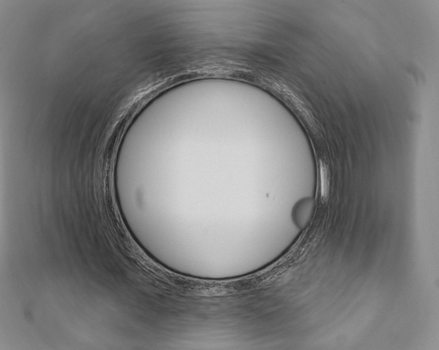 X0000110880675200906180946