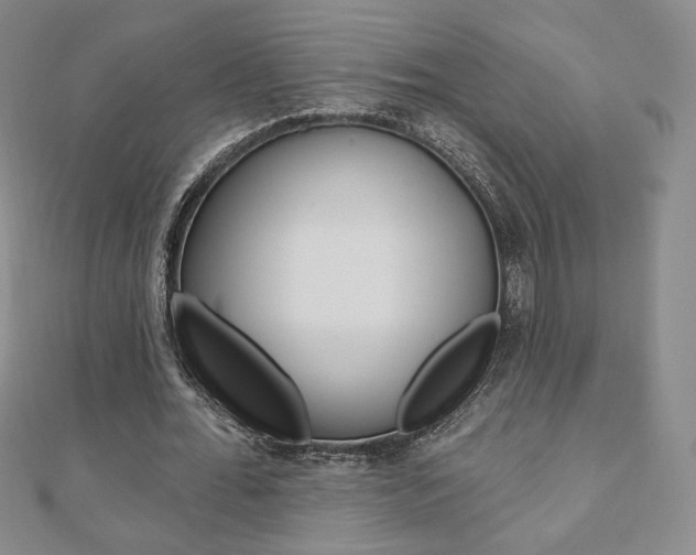 X0000110880676200906180946