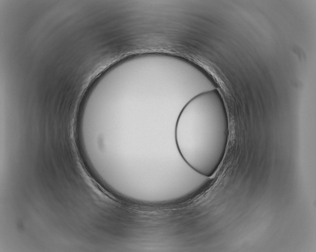 X0000110880677200906180946