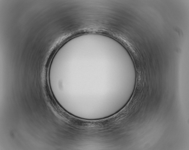 X0000110880678200906180946