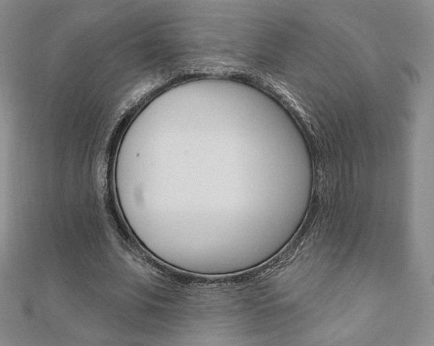 X0000110880679200906180946
