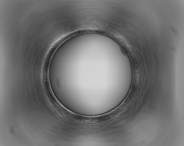 X0000110880680200906180946