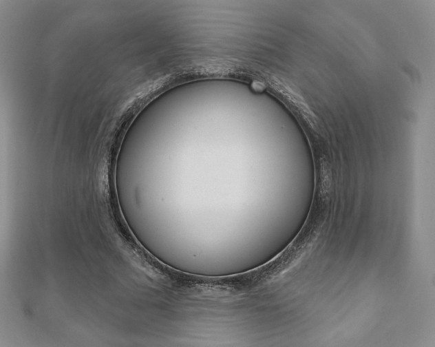 X0000110880681200906180946