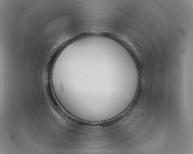 X0000110880683200906180946