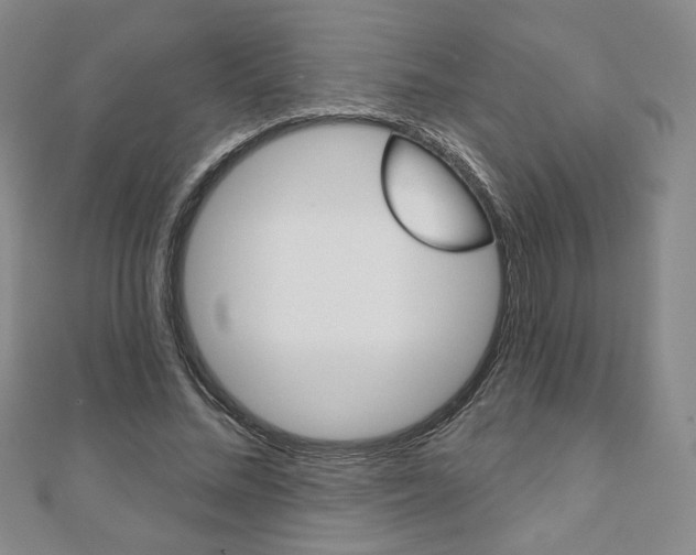 X0000110880684200906180946