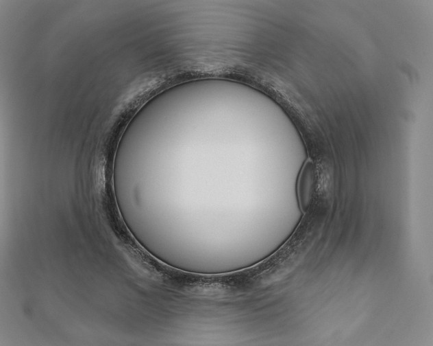 X0000110880685200906180945