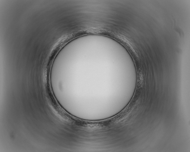 X0000110880686200906180945