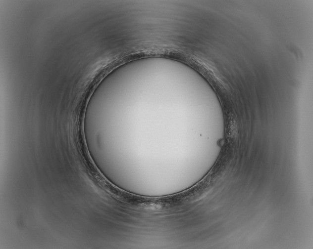 X0000110880687200906180945