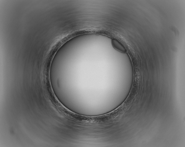 X0000110880688200906180945
