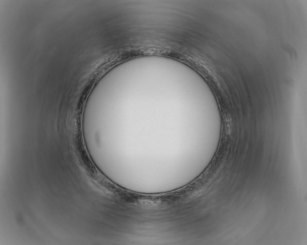 X0000110880690200906180945