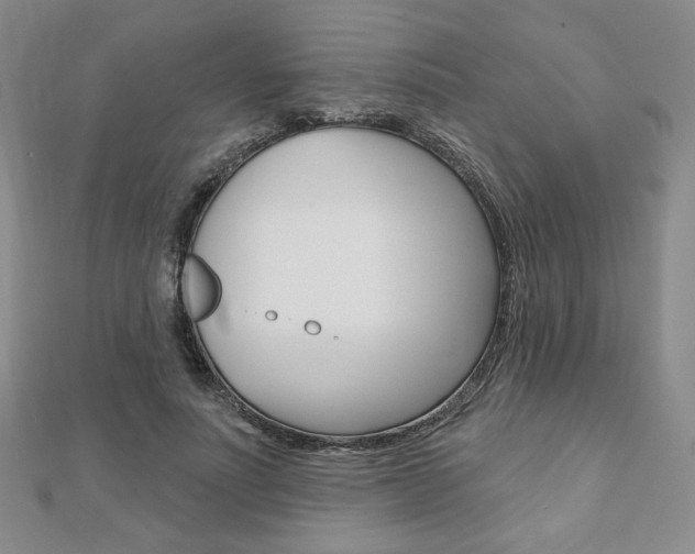 X0000110880691200906180945