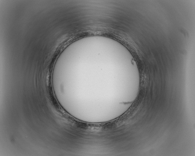 X0000110880694200906180945