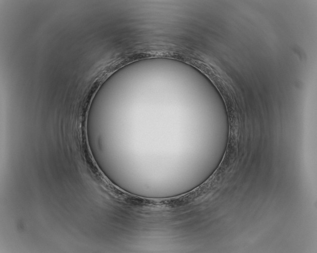 X0000110880696200906180945