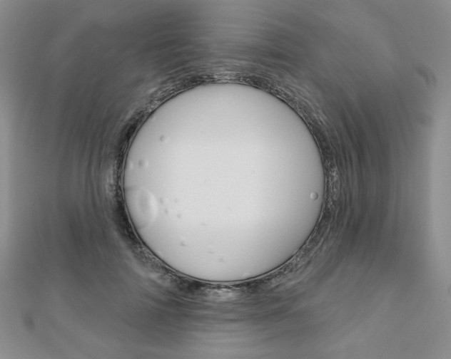 X0000110880698200906180945