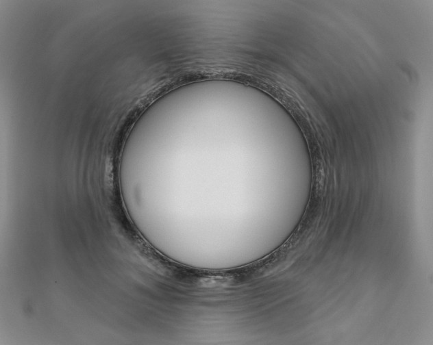 X0000110880700200906180945