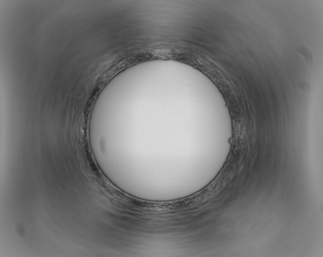 X0000110880702200906180945