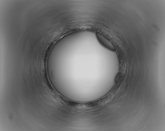 X0000110880704200906180945