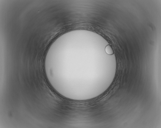 X0000110880708200906180945