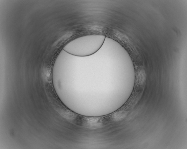 X0000110880709200906180945