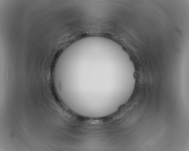 X0000110880711200906180945